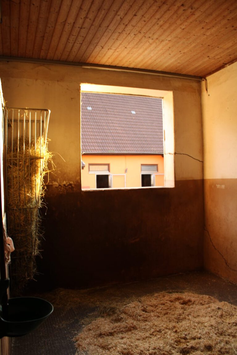 Das Innere einer Scheune, in die Sonnenlicht durch ein rechteckiges Fenster fällt. Es zeigt Heu und bietet einen Teilblick auf die Reitanlage von außen.