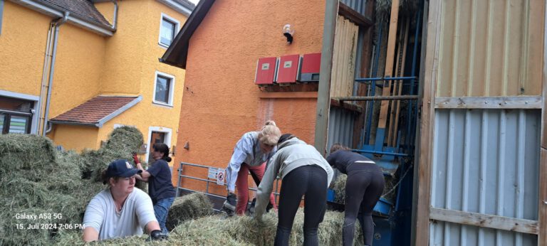 Menschen arbeiten an ihrer ersten Heuernte gemeinsam daran, Heuballen in der Nähe eines Gebäudes mit gelben Wänden und roten Maschinen an der Außenwand zu verladen.