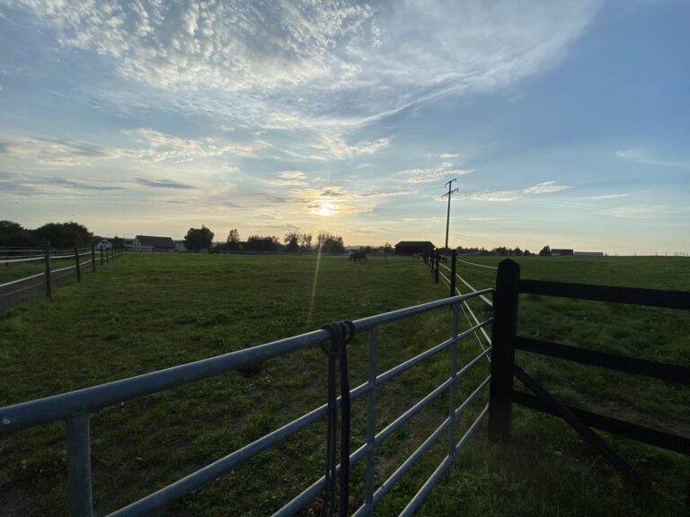 Sonnenuntergang über einem friedlichen Feld mit einem Metalltor im Vordergrund und Bäumen und Häusern in der Ferne am Horizont.