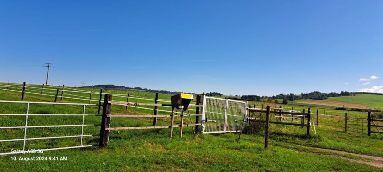 Eine eingezäunte Wiese mit sanften Hügeln unter einem klaren blauen Himmel. Im Vordergrund ist ein Tor mit Ausrüstung zu sehen.