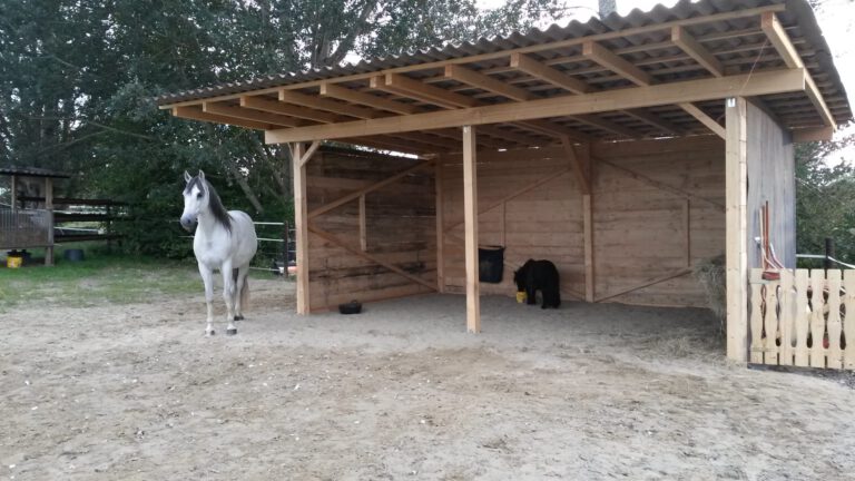 Ein graues Pferd steht vor einem Holzunterstand der Reitanlage, während ein zweites Pferd im Inneren des Unterstands Heu aus Behältern frisst.