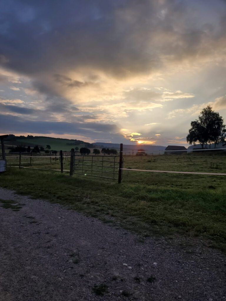 Der Sonnenuntergang über einer Wiese mit einem Feldweg, einer eingezäunten Weide, Bäumen und einer Scheune in der Ferne schafft einen automatisch gespeicherten Entwurf der ruhigen Schönheit der Natur.