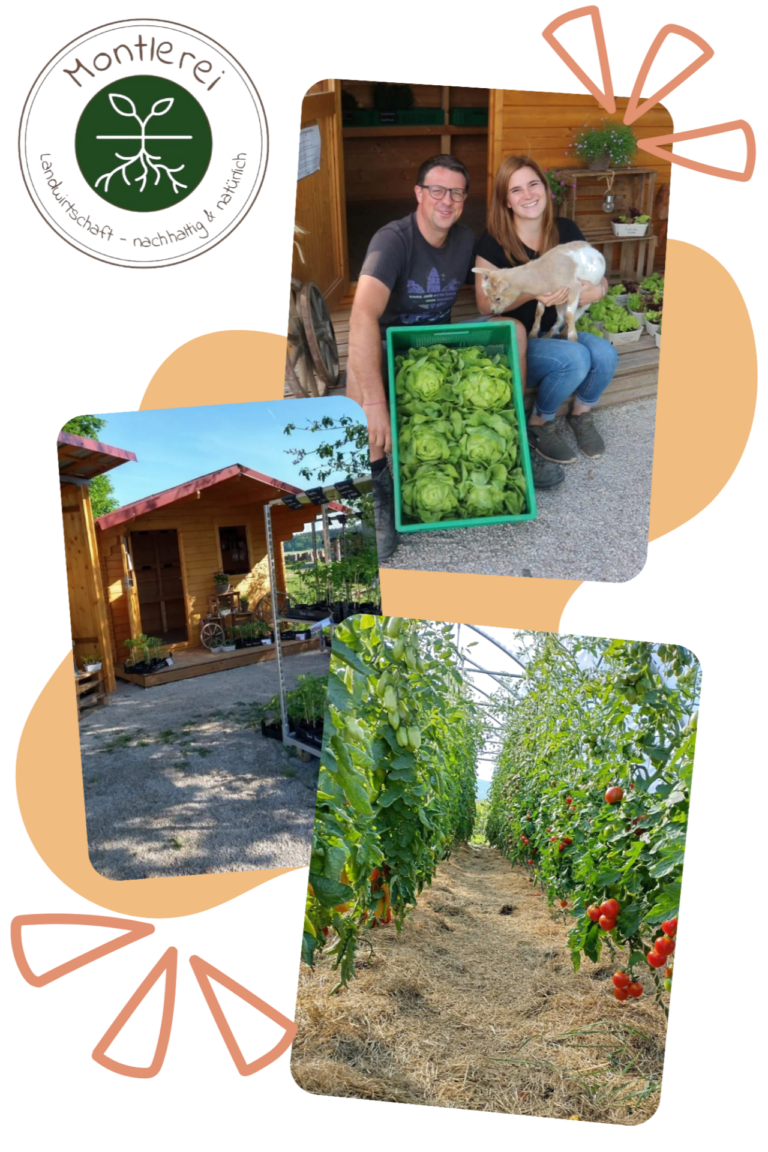 Collage aus Mann, Frau und Hund mit Salat, einem Holzgebäude und einem Gewächshaus mit Tomatenpflanzen auf der Homepage des Bauernhofs Montierei.